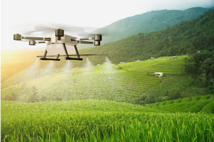 印度準許飛行無人機對抗蝗蟲襲擊(圖1)