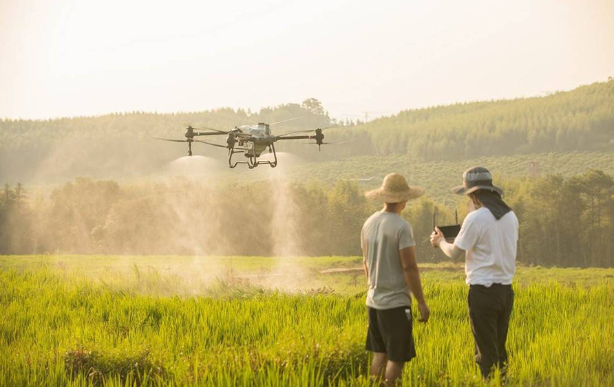 改裝無人機解決果樹農藥低效問題 四川果農轉型成“飛手”(圖2) 改裝無人機解決果樹農藥低效問題 四川果農轉型成“飛手”(圖2)