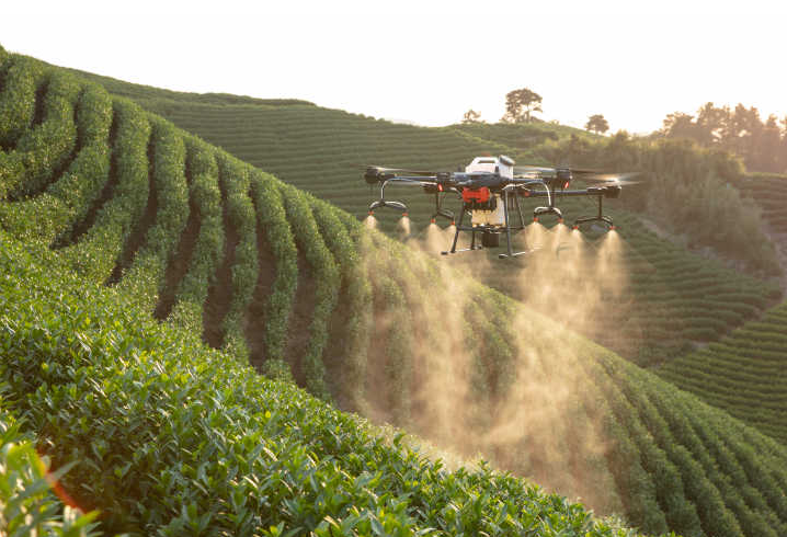 植保無人機助力茶園解決防治難題(圖1) 植保無人機助力茶園解決防治難題(圖1)