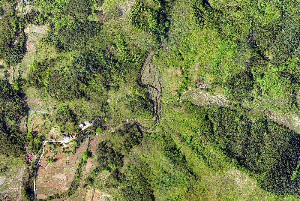 無人機(jī)技術(shù)在現(xiàn)代林業(yè)工作方面的應(yīng)用(圖2)