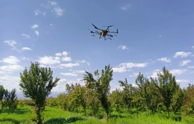 無人機助力山區產業增效、果農增收(圖1) 無人機助力山區產業增效、果農增收(圖1)