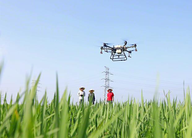植保無(wú)人機(jī)助力水稻病蟲(chóng)害防治(圖1) 植保無(wú)人機(jī)助力水稻病蟲(chóng)害防治(圖1)
