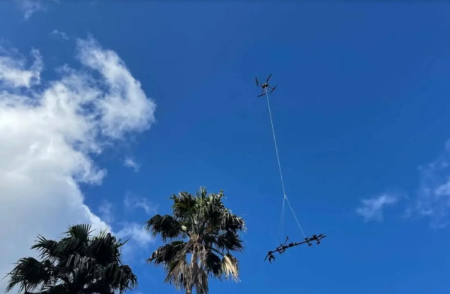 加拿大初創(chuàng)公司Outreach Robotics通過(guò)無(wú)人機(jī)創(chuàng)新保護(hù)瀕危植物(圖1) 加拿大初創(chuàng)公司Outreach Robotics通過(guò)無(wú)人機(jī)創(chuàng)新保護(hù)瀕危植物(圖1)