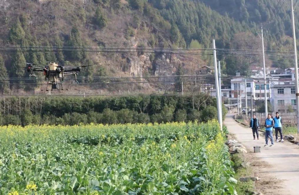 農(nóng)用無(wú)人機(jī)助力江口縣春耕工作順利進(jìn)行(圖1)