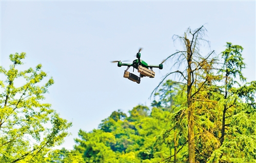 無人機(jī)應(yīng)用如何在林區(qū)巡邏大展身手?(圖2) 無人機(jī)應(yīng)用如何在林區(qū)巡邏大展身手?(圖2)